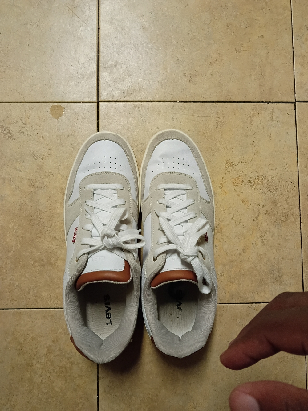 Levi's White and Tan Kids Lace-Up Sneakers